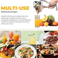 Gemakkelijk schoon te maken, robuuste aluminiumlegering, handmatige sapcentrifuge, handbediende fruitpers, enkelvoudige pers, citroen- en sinaasappelgereedschap