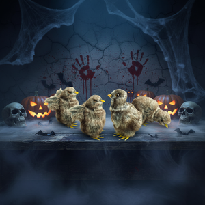 Figuras de Pollitos Bebé Marrones Realistas, Juguetes de Pascua, Pollos Realistas para Rellenar Cestas de Pascua, Pollitos de Halloween, Decoraciones Rústicas - Product Image 2