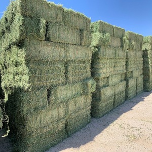Heno de Alfalfa Puro Premium para Caballos, Ganado, Cerdos y Pollos, 100% Natural, Alto en Proteínas, Alimento Animal de Primera Calidad, Pacas de 100 kg - Product Image 1