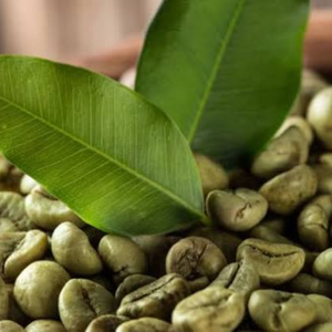 Bulk Vietnam <b>Robusta</b> <b>Coffee</b> <b>Beans</b> Natural Green Unroasted OEM ODM Export Grade <b>Coffee</b> Seed Moisture 12% Supply - Product Image 6