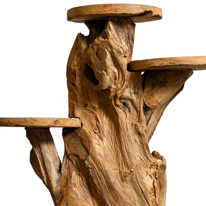 Support de présentation en racine de teck biologique de luxe, artisanal, en bois massif, pour intérieur/extérieur, décoration de la maison pour Diwali - Product Image 3