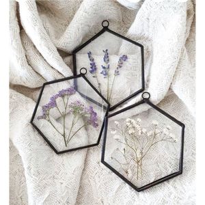 Marco de Fotos Hexagonal de Metal y Vidrio, Marco Flotante para Exhibición de Flores Prensadas, Marco Botánico Moderno para Colgar en la Pared, Decoración del Hogar, Marco Artístico - Product Image 1