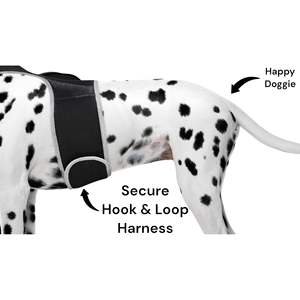 Système de suivi GPS taille XXL pour chats et chiens, compatible Android, localisateur GSM pour animaux de compagnie, harnais pour animaux de compagnie - Product Image 2