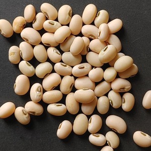 Guisantes negros premium con excelente contenido proteico y frescura naturalmente conservada para consumo alimentario - Product Image 4