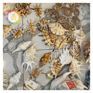 Handmade Natural Seashell Boat Christmas Beach Decor | Eco Ocean Craft HOT SALE - CARYLN - Product Image 6