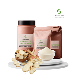 Extrait sec d'Astragale de qualité supérieure, conçu pour les acheteurs industriels ayant besoin d'une performance stable des ingrédients à base de plantes - Product Image 2