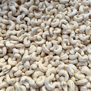 Factory Directly Raw Cashew <b>Nuts</b> Ww180 Ww240 Premium Quality Edible 20kg with Custom Packaging OEM Service Available - Product Image 1