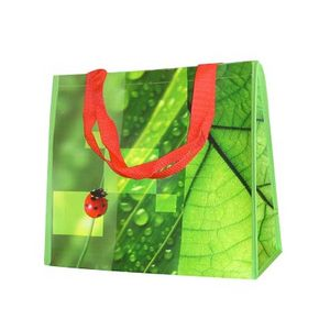 Sac de courses réutilisable personnalisé en tissu tissé de polypropylène écologique, sac fourre-tout en PP recyclé avec LOGO pour supermarché - Product Image 5