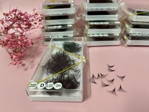 Extensions de cils légères de volume 20D du fabricant, aspect naturel avec des bases fines et pointues pour une application facile - Product Image 4