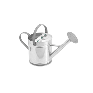 Arrosoir moderne en métal galvanisé poli argenté avec bec amovible et doubles poignées ergonomiques pour plantes de jardin extérieur - Product Image 1