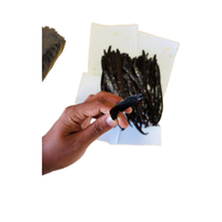 Fèves de vanille de qualité supérieure, séchées, 100% naturelles, en provenance du Sri Lanka