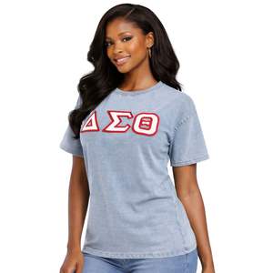 Camisa Premium de Chenilla Vaquera Clara Delta Sigma Theta para Mujer, Ajuste Cómodo, Ropa de Alta Calidad para Hermandades Griegas, Uso Casual - Product Image 1