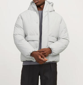 Vestes d'hiver pour hommes OEM ODM, manteaux en duvet, doudounes personnalisées, vestes longues, manteaux en duvet de canard pour hommes - Product Image 1