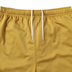 Shorts de basketball en maille polyester personnalisés avec logo, pour hommes, séchage rapide, respirants, taille mi-haute, fermeture élastique, imprimés par sublimation IRON MARK - Product Image 6