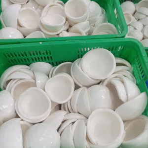 Vietnam IQF Frozen Coconut Meat Natural Raw Ingredient For Food Processing <b>Dessert</b> Smoothie And Cooking Use - Product Image 1