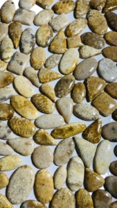 Cabochon de corail fossile agaté naturel, motif rare, pierre précieuse en vrac pour la fabrication de pendentifs, bagues et bijoux, lot de pierres à prix de gros - Product Image 4