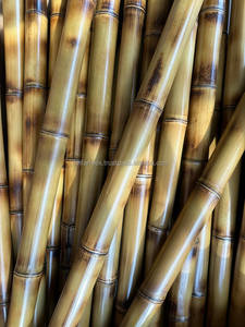 Bambous du Vietnam de 4 à 10 m de long et de 3 à 10 cm de diamètre pour la production de meubles, fourniture OEM disponible - Product Image 3