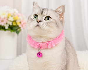 Fancy Cat <b>Collar</b> OEM ODM Custom Logo Adjustable Ruffle Kitten <b>Collar</b> with Bell Direct Manufacturer - Product Image 2