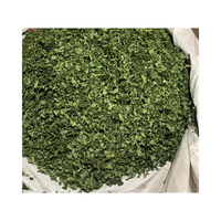 Poudre de thé aux feuilles de fleurs de papaye séchées du Vietnam 100 % naturelle de qualité supérieure en vrac pour infusion quotidienne