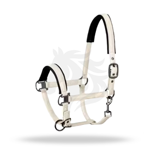 Rolled Leather Horse Halter Premium Adjustable Brass <b>Hardware</b> Show Halter - Product Image 1