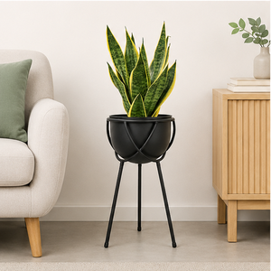 Support de plante en métal noir mat moderne avec pot rond, support de pot de fleurs surélevé minimaliste pour intérieur et extérieur - Product Image 6