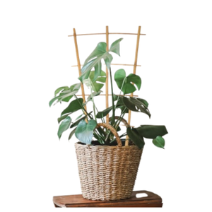 Vente en gros de treillis en bambou en forme d'éventail pour plantes grimpantes d'intérieur, fabriqué au Vietnam - Product Image 3