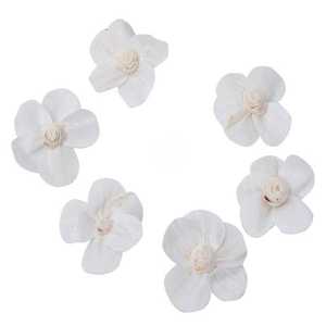 Fleur de Sola Protea de Qualité Supérieure Populaire et Écologique pour Décoration Intérieure/Extérieure Mariage Remise de Diplôme Halloween 2026 - Product Image 1