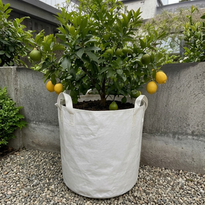 THUY LINH Panier de culture suspendu pour plantes et fleurs, en toile maillée laminée blanche, avec poignées en disque, pour jardin intérieur, imprimé sérigraphié - Product Image 4