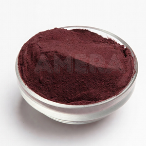 Premium Astaxanthin Extract Powder – Bulk Supply for <b>Supplement</b> Manufacturing - Product Image 3