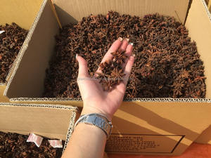 Autumn Star Aniseed High Quality Dried Herb Seed From Vietnam 24 Months <b>Shelf</b> Life Phalco Vietnam JSC Special Deal <b>Cheap</b> Price - Product Image 2