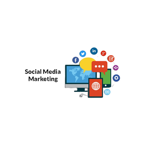 Aceleración del crecimiento empresarial SEO profesional Datos estructurados Marketing digital Optimización de sitios para envío de correo electrónico Mac OS - Product Image 4