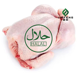 Poulet entier cuit congelé en différentes tailles, cuit à la vapeur et emballé en boîtes - Product Image 2