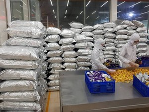 Dried Jackfruit Chips From Vietnam/ Crispy Dried Jackfruit Chips in Zip Bag 250gram 500gram 7kg As Custom Logo Request - CARYLN - Product Image 5