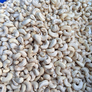 Oferta Especial 2026 Nueces de Anacardo Crudas Kaju de Vietnam Ww180, Ww230 Orgánicas Listas para Enviar - Product Image 1