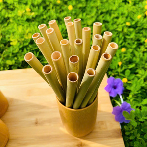 Handmade Bamboo <b>Straw</b> Reusable Natural Eco Friendly <b>Drinking</b> <b>Straws</b> <b>Plastic</b> Free for Wholesale Bulk Orders Export Global - Product Image 5
