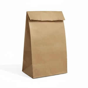 Venta Directa de Fábrica: Bolsas de Papel Ecológicas Más Vendidas – Ideales para Compras, Comida para Llevar y Empaques Minoristas desde India - Product Image 1