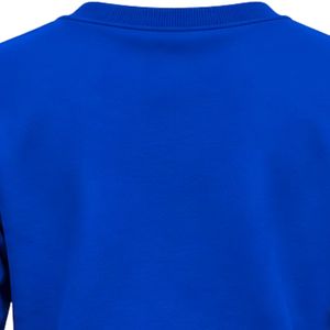 Sweat-shirt à col rond pour femme Sigma Gamma Rho, bleu, avec motif de sororité grecque, pull à manches longues, décontracté, streetwear universitaire, personnalisé - Product Image 6