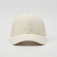 Casquettes de baseball vierges de qualité supérieure pour adultes, style décontracté et tendance pour hommes, vente en gros, imperméables, 100% coton, réglables, quatre tailles