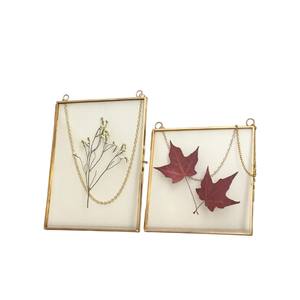 Cadre photo flottant double face en verre transparent de qualité supérieure avec cadre en métal doré, support autoportant pour affichage botanique, décoration de bureau - Product Image 4