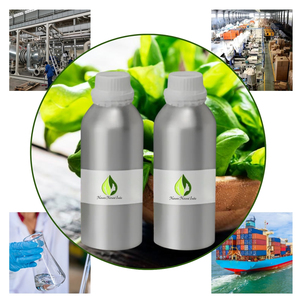 Hidrosol de Albahaca Orgánico – Agua de Hoja de Tulsi 100% Pura Destilada al Vapor, Proveedor Mayorista - Product Image 4