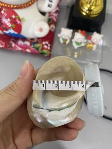 Prix d'usine Vietnam Tropical Luxury Napkin Ring Coastal Hotel Dining Elegant Conch Shell Mirror Eco-Friendly Handmade 10ml - Product Image 3