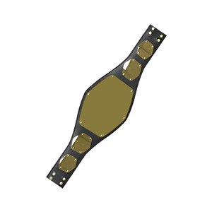 Cinturón de Campeonato de Lucha Libre Clásico, Placa Metálica de Alta Calidad, Logotipo Personalizado, Venta al Por Mayor, ODM, Novedad 2026 - Product Image 2