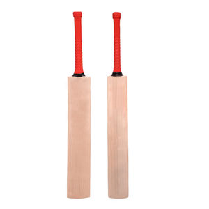 Batte de cricket légère avec poignée robuste, idéale pour l'entraînement des jeunes, l'utilisation scolaire et sportive, construction durable. - Product Image 1