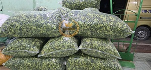 Hojas de lima kaffir secas de nueva cosecha de muy alta calidad, listas para entrega, embalaje OEM, etiqueta personalizada, origen Vietnam. - Product Image 2