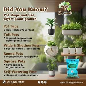 100% Purity Granular Organic Manure Fertilizer Water Easily Controlled Release | Bhu-Unnati Nutrient Magic 25Kg Bulk Pack - Product Image 3