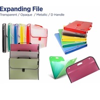 Carpeta Archivadora Expandible Tamaño A4, Plástico Transparente Opaco, Asa Metálica, Multicolor, Organizador de Oficina