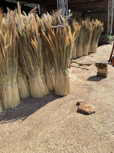 Balai artisanal en plumes naturelles pour intérieur et extérieur, idéal pour la cour, le garage, la pelouse, le sol, avec manche, pour balayer les routes, fabriqué au Vietnam - Product Image 4