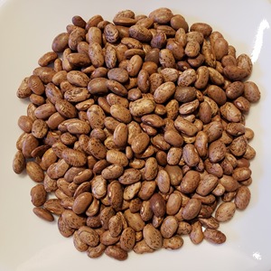 Pinto <b>Beans</b> Superior Harvest Collection For Professional Buyers Featuring Rich Taste And Premium Whole Grain Quality - Product Image 6