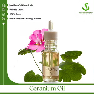 Fabricante de Aceite de Geranio a Granel que Ofrece Aceite Esencial Premium para la Creación de Perfumes, Cosméticos, Cuidado Personal y Fragancias - Product Image 1