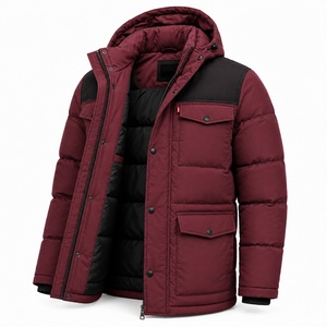 Proveedor de Chaquetas Parka Personalizadas de Alta Calidad, Ropa de Invierno Impermeable y Aislada, Fabricante OEM de Marca Privada - Product Image 2